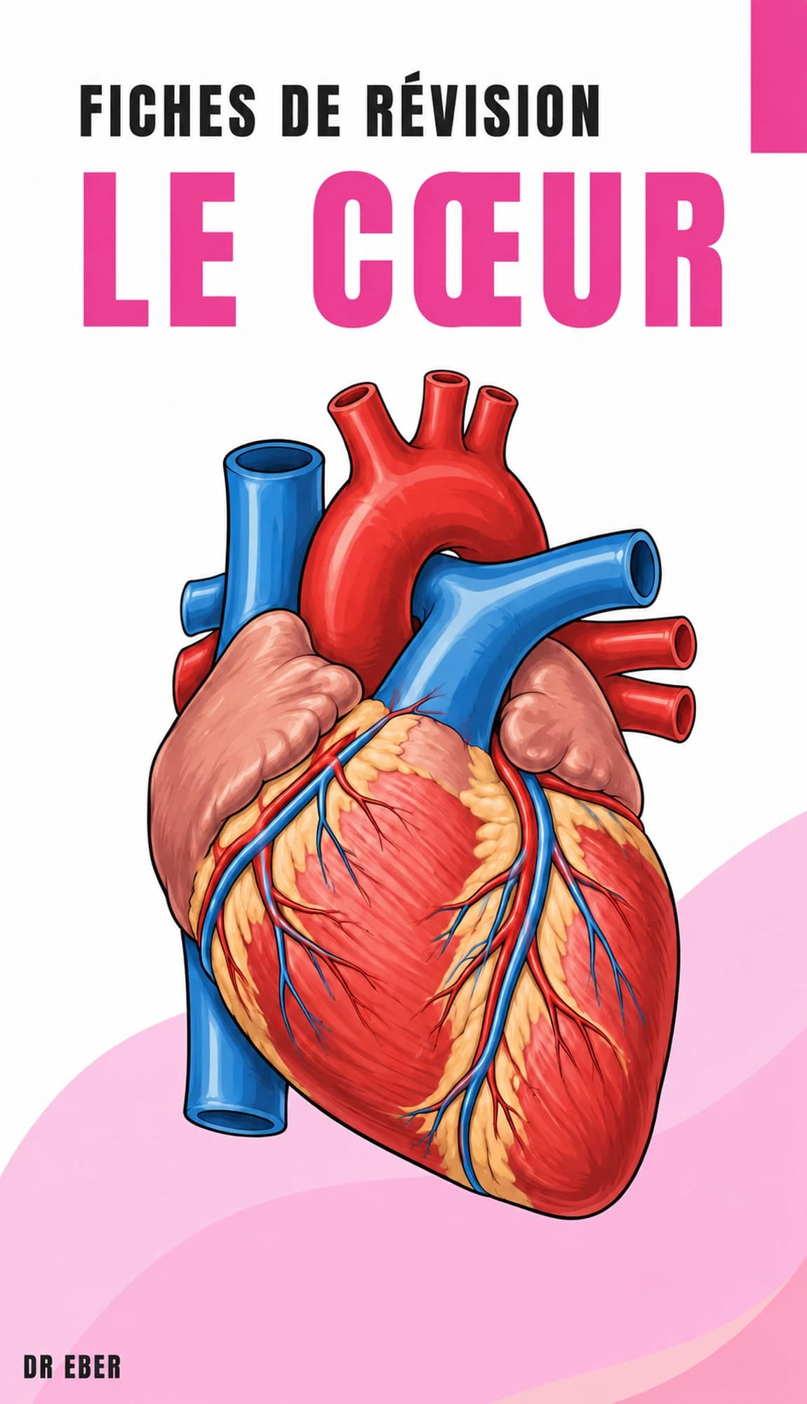 Couverture des fiches du cœur