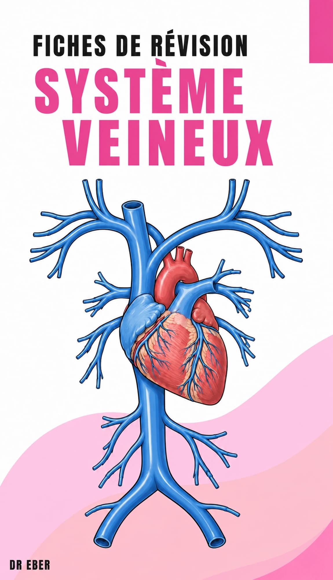 Couverture des fiches du système veineux