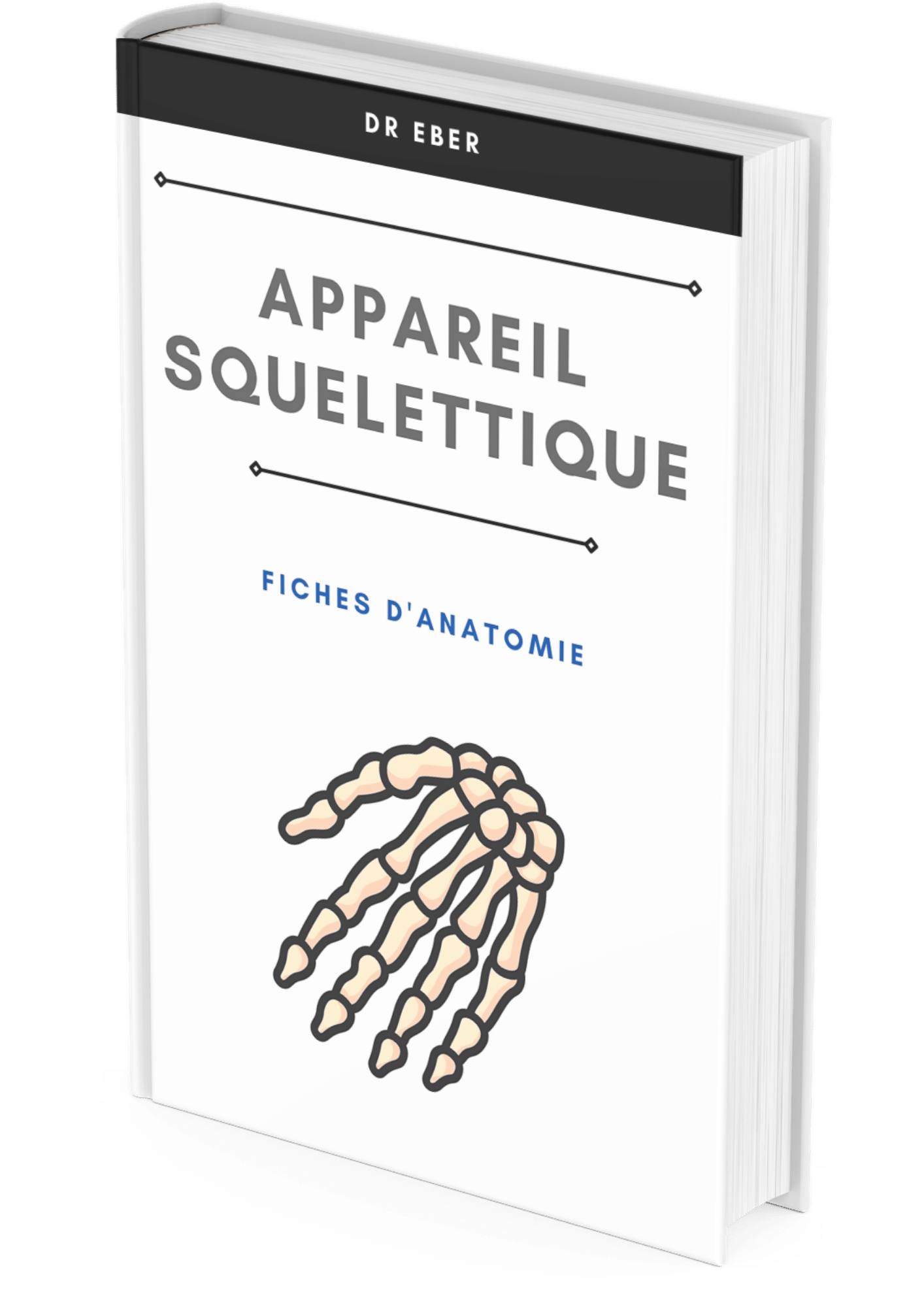 Fiche d'anatomie appareil squelettique