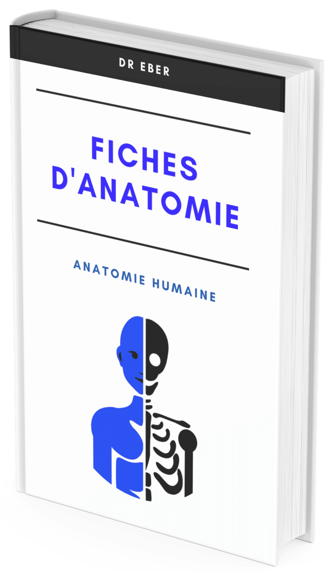 fiches d'anatomie humaine