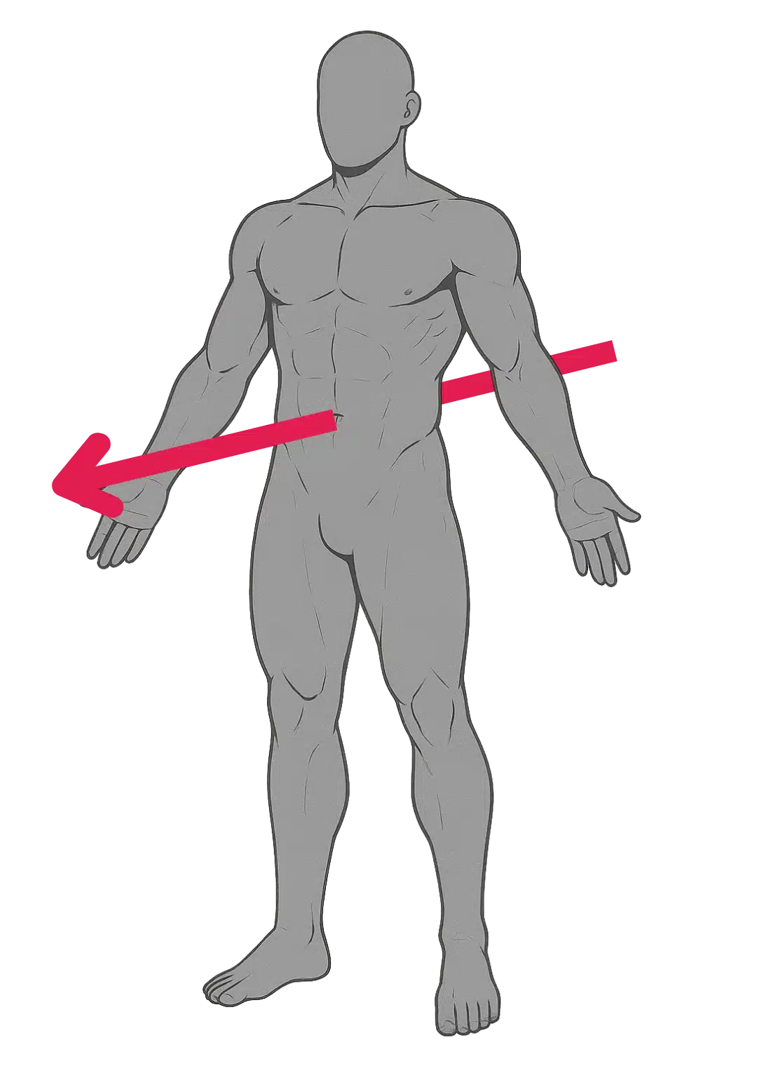 Schéma de l’axe antéro-postérieur ou dorso-ventral en anatomie : ligne horizontale allant de l’arrière vers l’avant, perpendiculaire au plan frontal