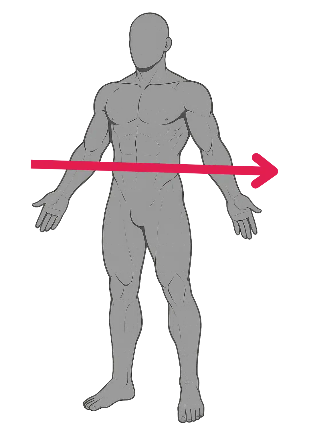 Schéma de l’axe horizontal ou axe droite-gauche en anatomie : ligne horizontale traversant le corps de gauche à droite, perpendiculaire au plan sagittal