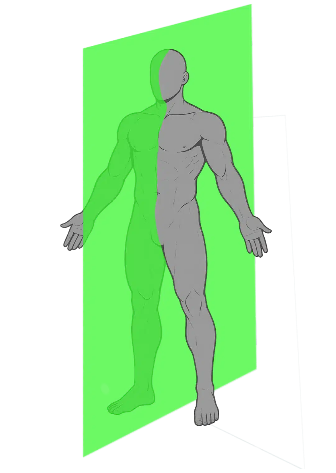 Schéma du plan sagittal et du plan médian en anatomie : coupe verticale divisant le corps en côté gauche et côté droit
