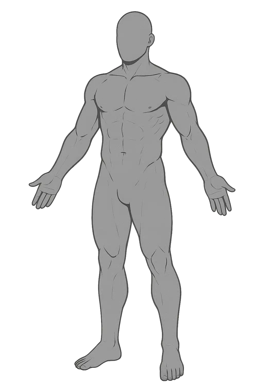 Schéma de la position anatomique de référence : corps humain debout, face à l’observateur, bras le long du corps, paumes vers l’avant, pieds parallèle