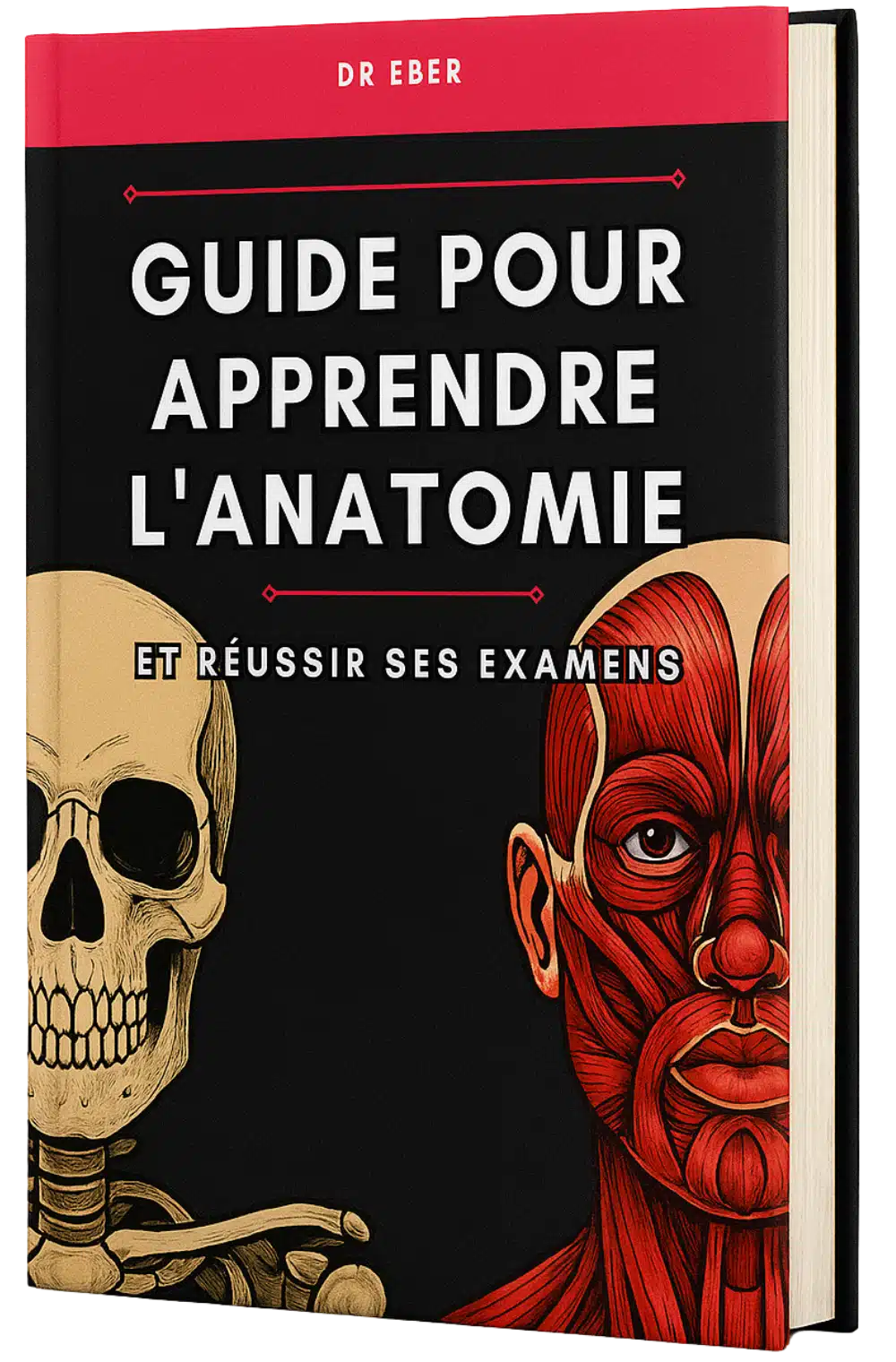 ebook anatomie