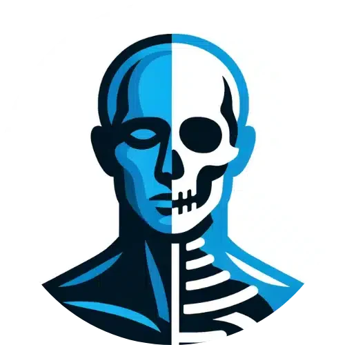 Fiches anatomie