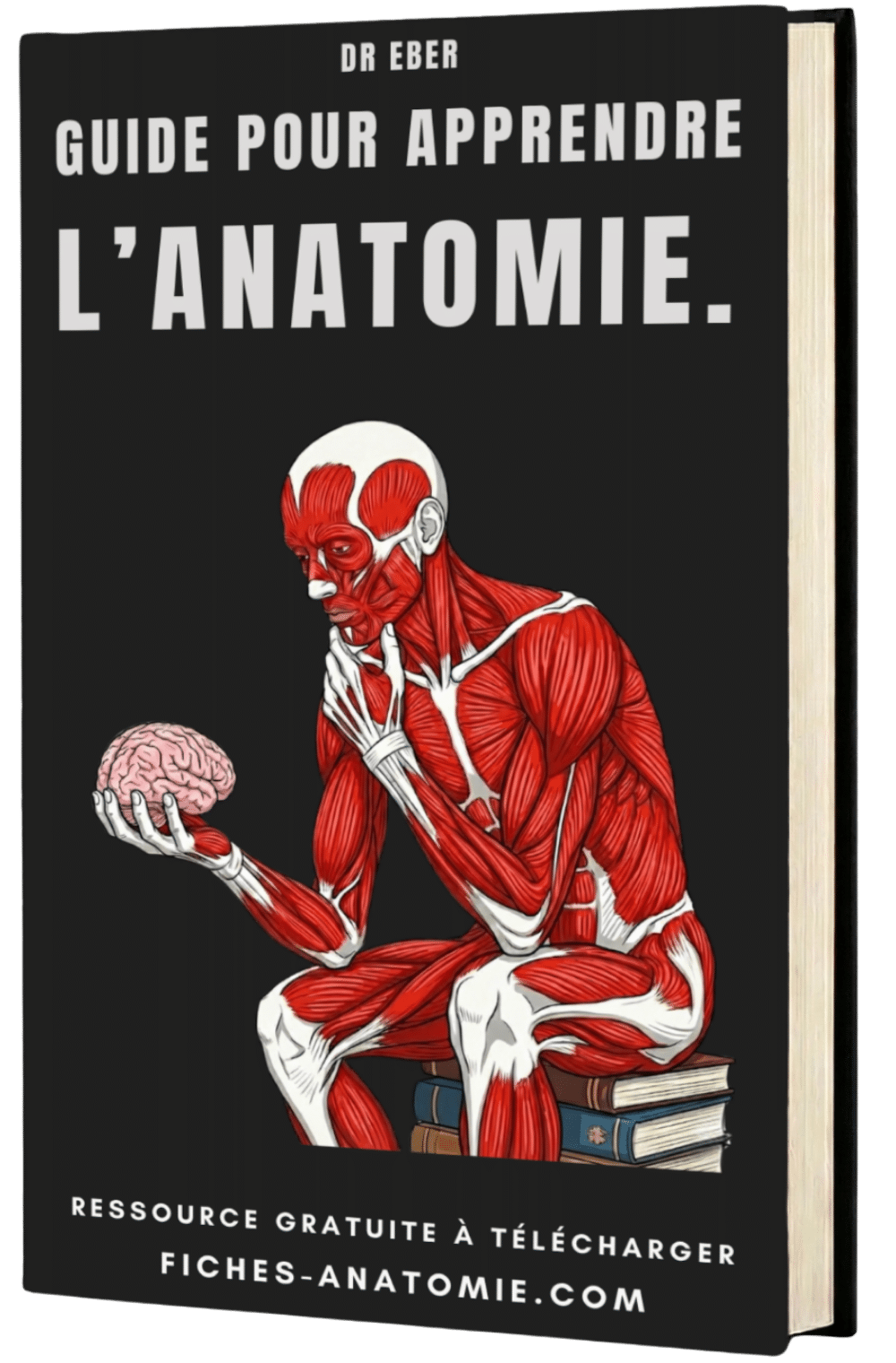 Ebook apprendre l'anatomie